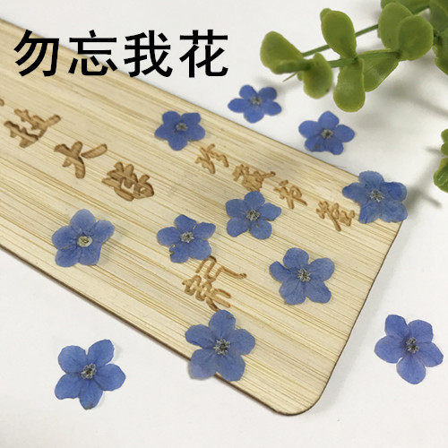 勿忘我花 diy香薰蜡烛干花 滴胶真花手机壳押花 天然真花压花 - 封面
