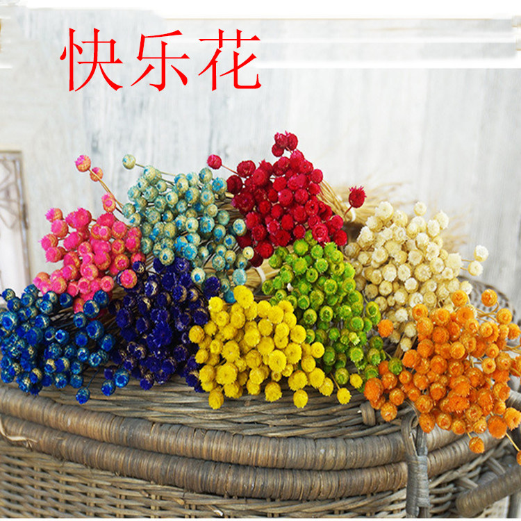 快乐花 天然真花干花 永生花花材 立体干花 滴胶手镯许愿瓶填充物