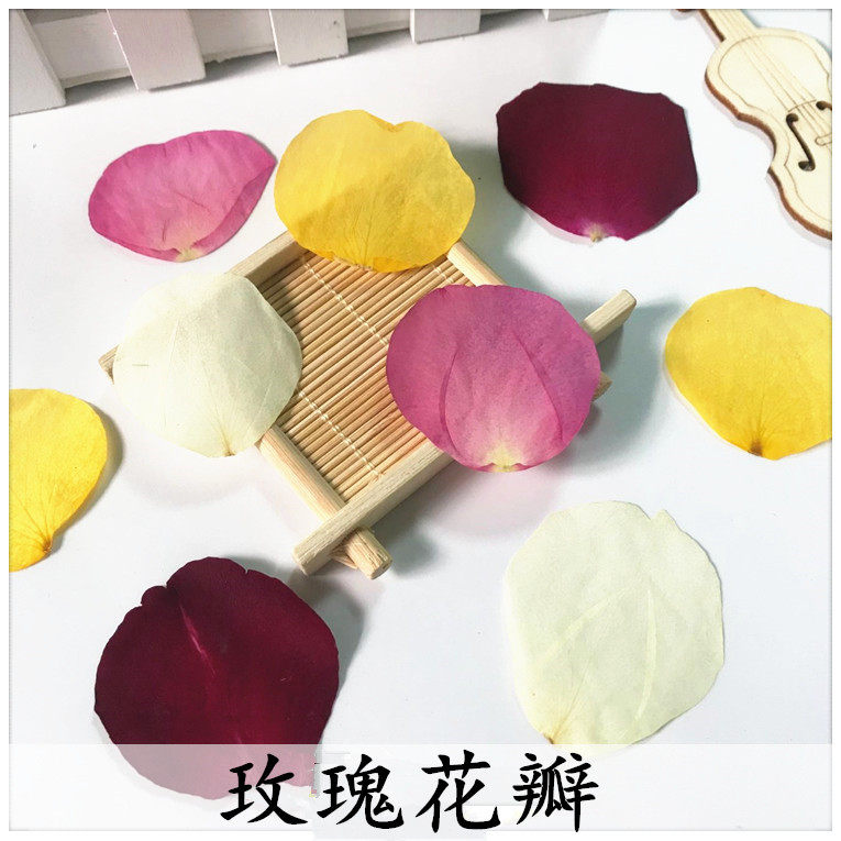 玫瑰花瓣 天然真花标本滴胶押花干花压花手机壳素材干花吊坠耳坠