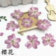 diy书签贺卡 压花香薰蜡烛花材 樱花 押花永生花滴胶手机壳干花