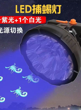 照蝎子专用灯可充电头戴式锂电池