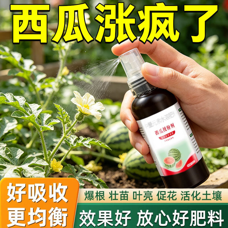 西瓜授粉剂点花花药免沾花授粉防落果保果素防畸形专用西瓜肥料