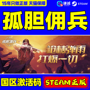PC正版 孤胆佣兵 中文游戏 CDKey Son 国区激活码 steam游戏 Gun