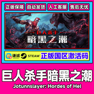 巨人杀手 正版 暗黑之潮 CDKEY PC游戏 国区激活码 Steam游戏