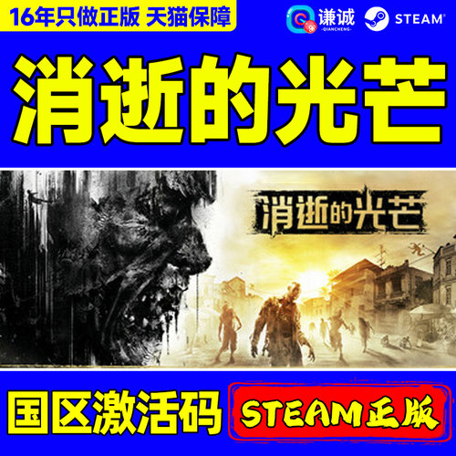 国区激活码正版消逝的光芒