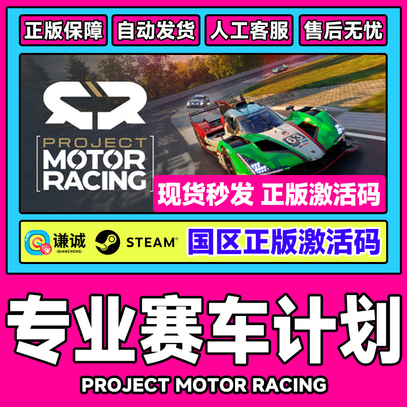 Steam 专业赛车计划 Project Motor Racing 国区激活码CDK PC游戏
