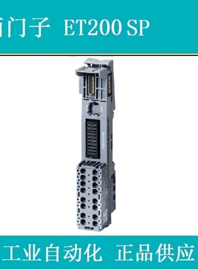 西门子6ES7193-6BP20-0BB0 BU20-P12+A4+0B 6ES71936BP200BB0