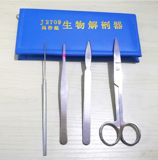 生物解剖器四件套标本制作工具