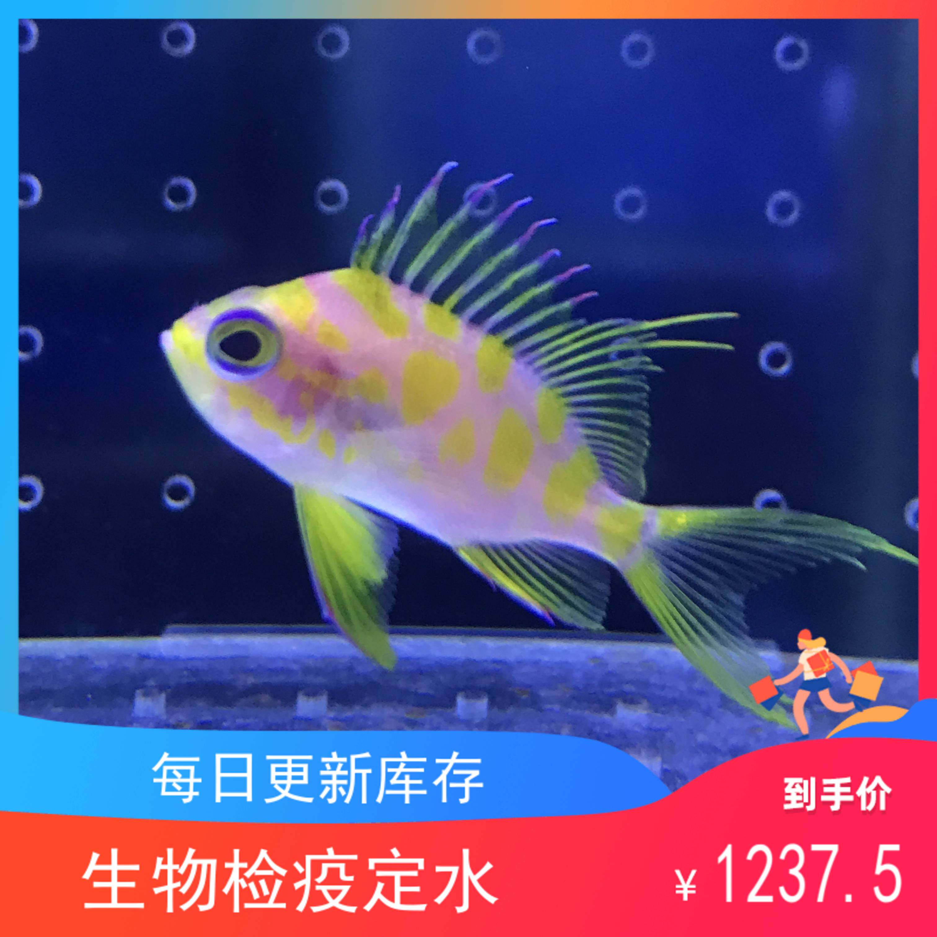 海金鱼品牌精品汇聚 价格大全移动版 最宠网