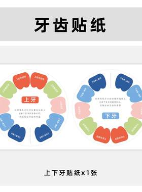 乳牙上下牙贴纸