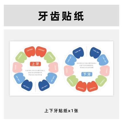 乳牙上下牙贴纸