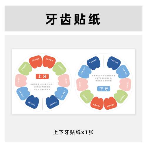 乳牙上下牙贴纸