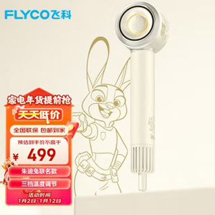 飞科【朱迪联名】高速吹风机家用负离子护发大风力电吹风筒不伤发