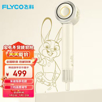 飞科【朱迪联名】高速吹风机家用负离子护发大风力电吹风筒不伤发