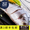 26海裏金鲳魚 湛江海鮮特産 深海野生 新鮮冷凍禮盒包郵500g