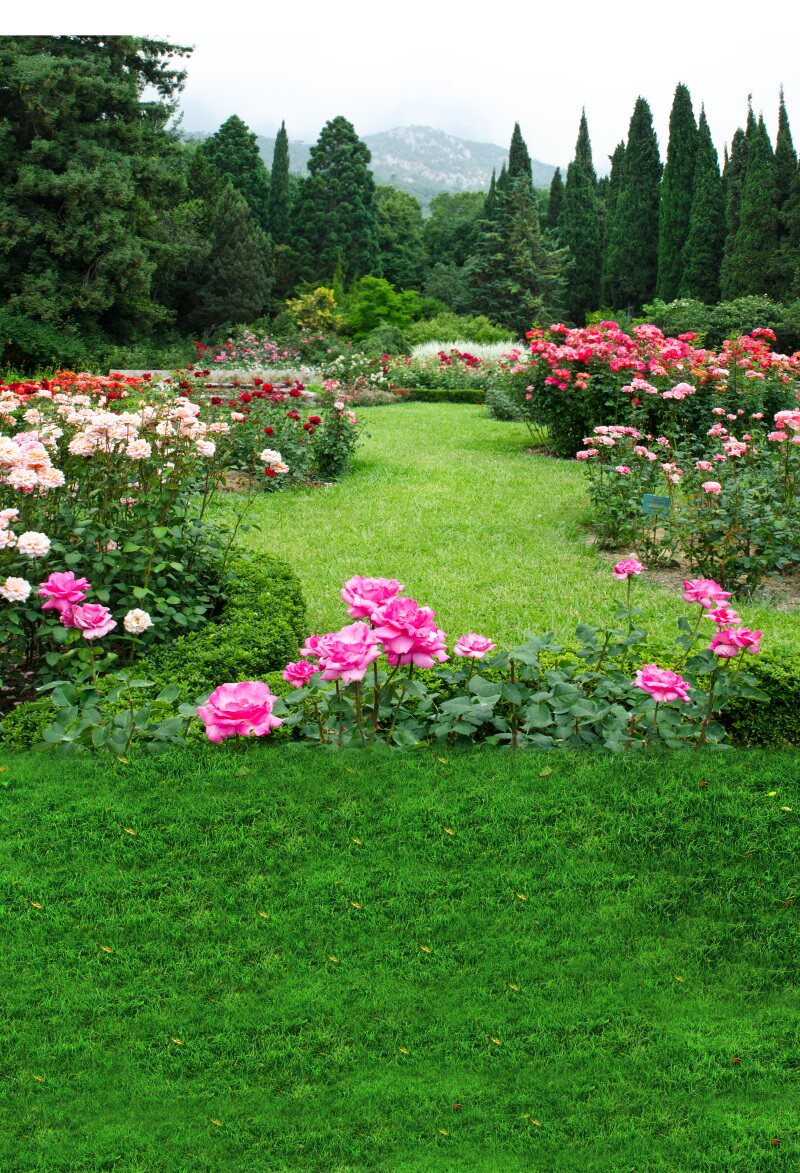 快手抖音主播直播拍段子视频背景布公园树林草坪春季风景立体383