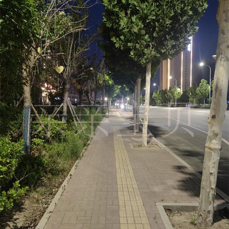 主播直播背景布公园芦苇荡石头小路风景柳树才艺主播直播挂画布