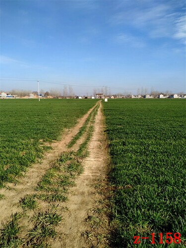 快手抖音主播直播拍段子视频背景布农村麦田地冬季风景挂布3d立体