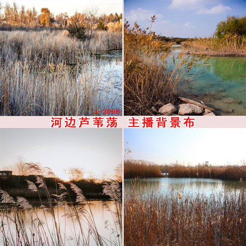 直播背景布主播背景布3d立体