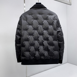 507P395 25冬季新款 90%白鸭绒刺绣翻领羽绒服  控598图片