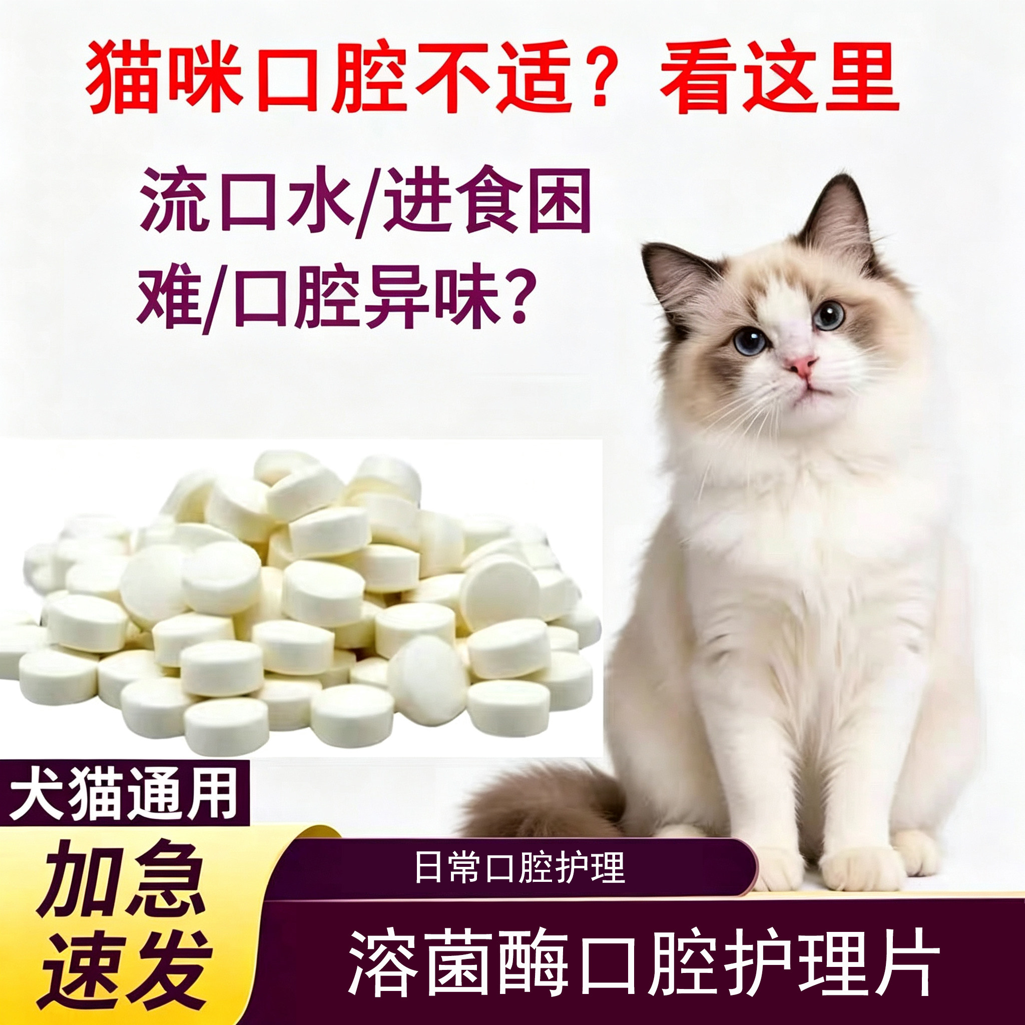 猫咪口清片炎抗溶菌酶片猫口气特药效口腔清洁状杯流口水口臭治疗