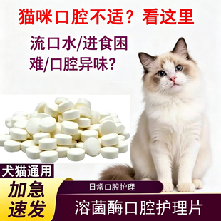 猫咪口清片炎抗溶菌酶片猫口气特药效口腔清洁状杯流口水口臭治疗