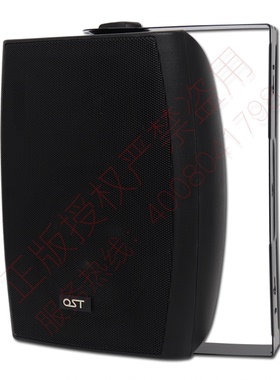 会议壁挂音箱40w背景音乐挂壁喇叭专业音箱定压定阻可调20w/30w