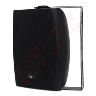 会议壁挂音箱40w背景音乐挂壁喇叭专业音箱定压定阻可调20w/30w