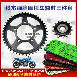 适用铃木GW250 GSX250R DL250大小牙盘链盘静音彩色油封链条套链