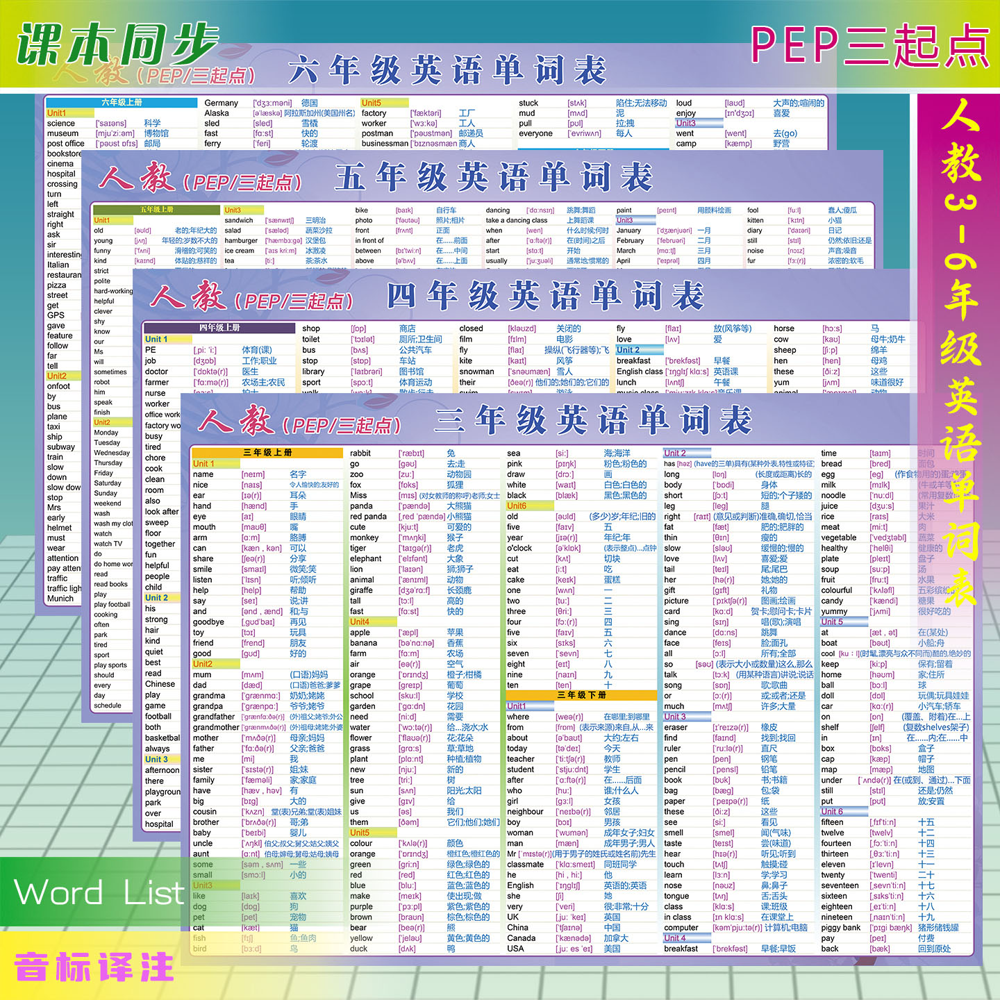PEP英语单词贴图卡防水可携带A4