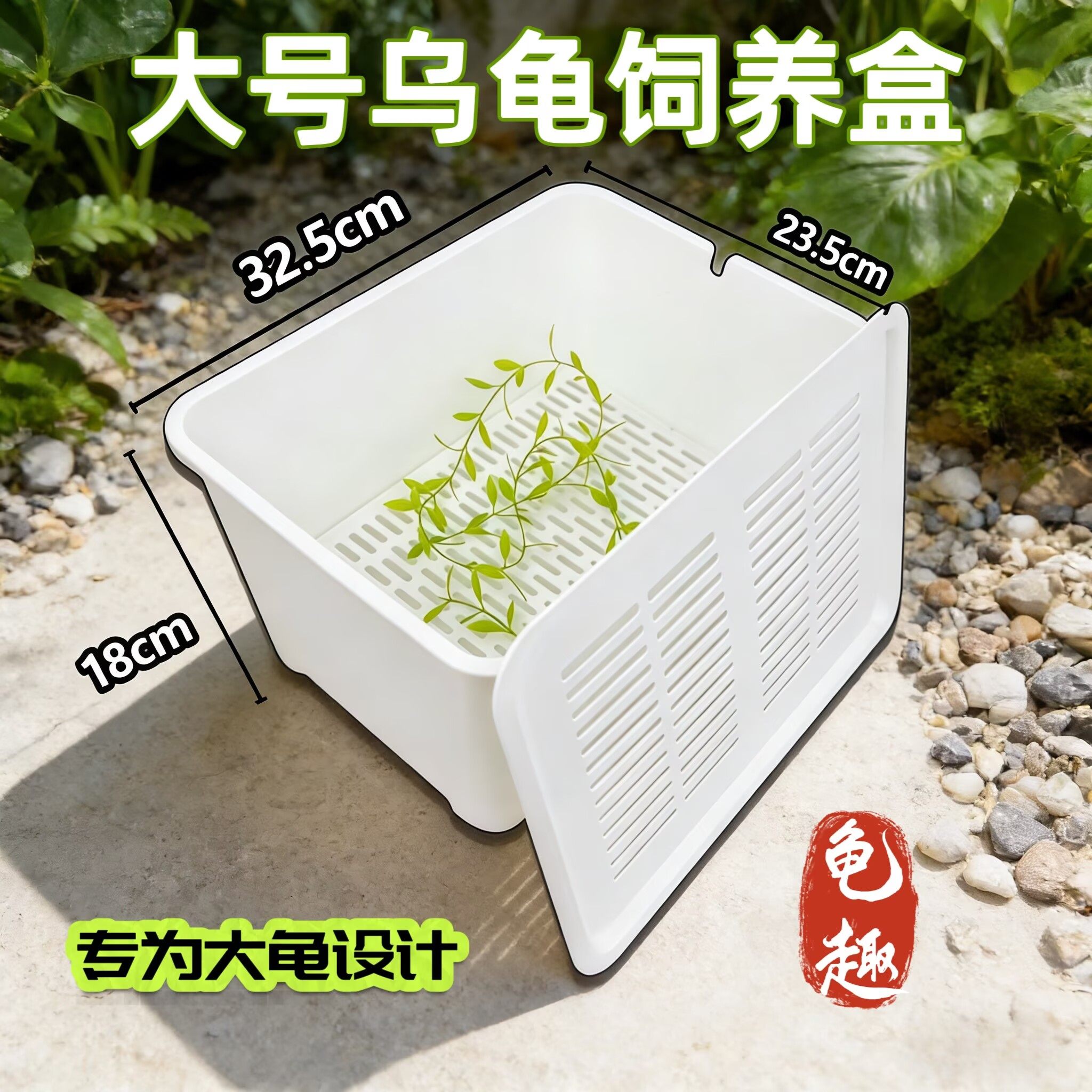 乌龟发色盒幼龟孵化饲养盒蛋龟加爬宠缸/箱