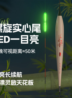 醒目加粗点亮纳米鲤鱼漂渔具