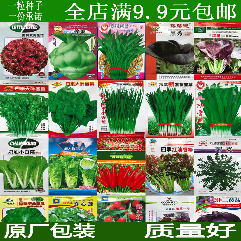 家庭蔬菜种子四季播种阳台盆栽春秋庭院小香葱番茄黄瓜籽原厂包装在类目 鲜花速递/花卉仿真/绿植园艺, 花卉/蔬果/草坪种子（新）, 家庭园艺种子中 - 来自Buy2taobao.com提供专业的淘宝代购服务