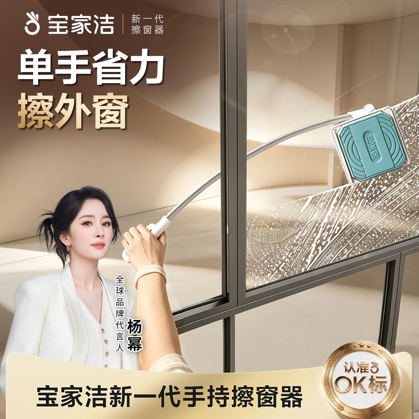专擦外窗神器玻璃擦窗器家政工具图片