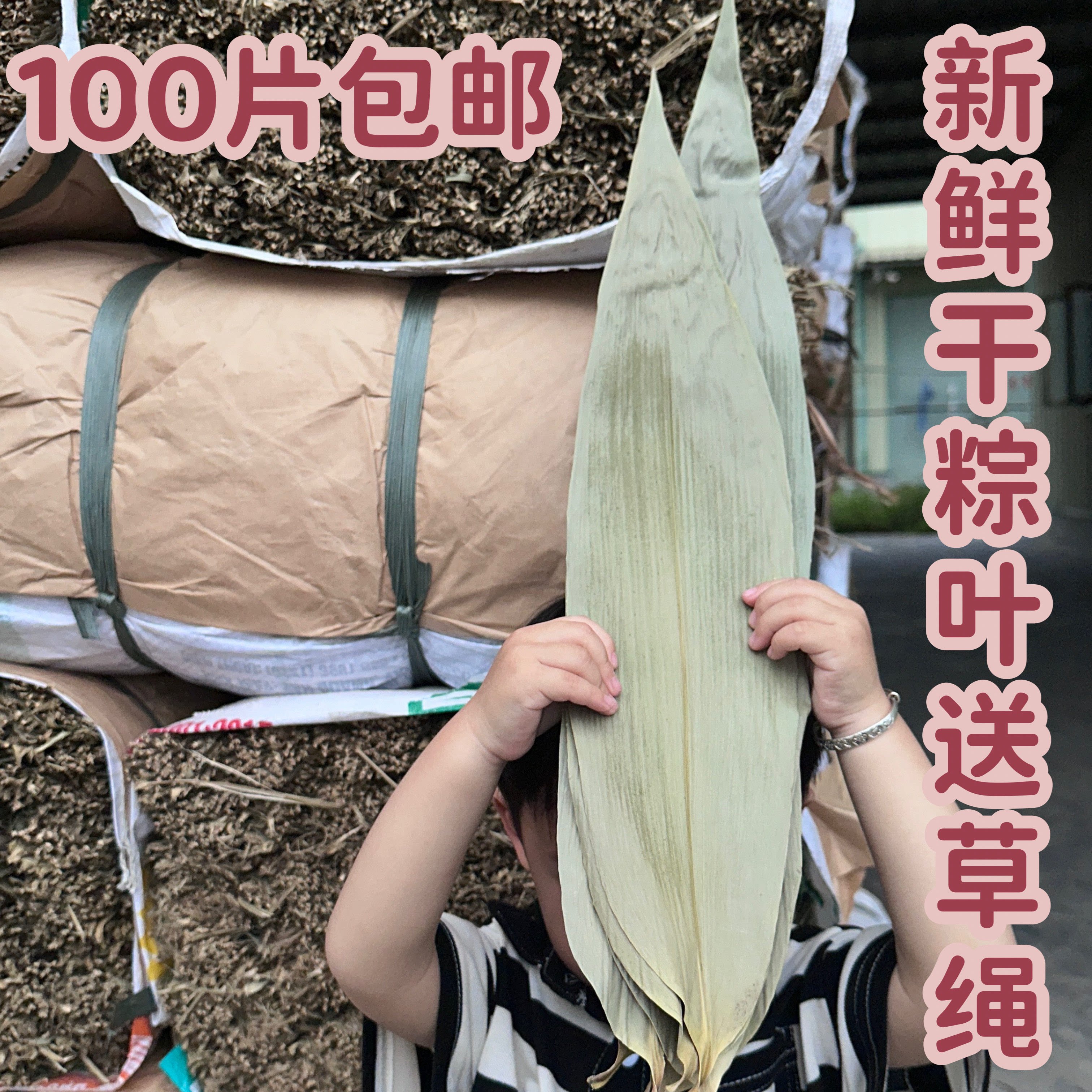 端午节粽叶特大号加厚天然野生麻粽叶