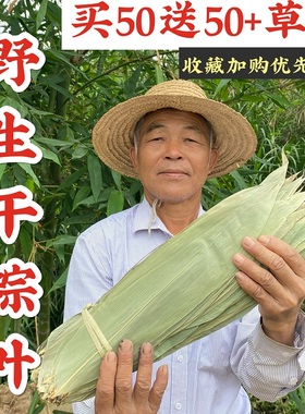 粽子叶特大野生粽叶新鲜大号干粽叶端午节包粽子专用叶子麻竹芦苇