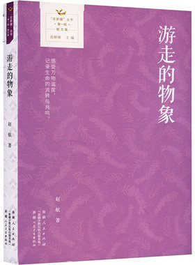 （正版包邮）游走的物象9787228214068新疆人民出版社