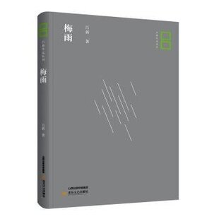 (正版包邮)梅雨9787537853835北岳文艺
