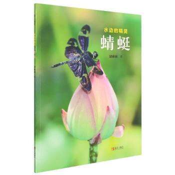 （正版包邮）水边的精灵:蜻蜓9787555257240青岛
