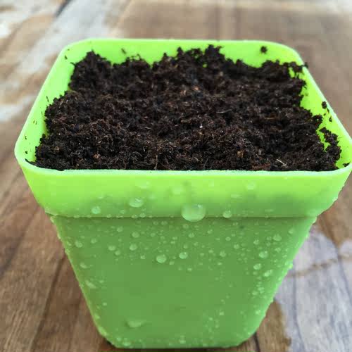 丹麦品氏进口蛭石多肉植物土