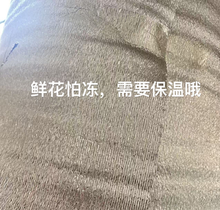 6度拍两层 3度一层 最低温 保温棉