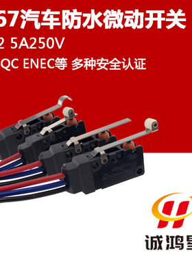 IP67防水微动开关WS2带长柄滚轮弯压片带线5A汽车液压锁DONGNAN