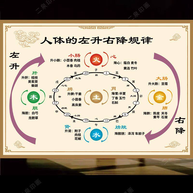 人体五行升降图画芯生养生贴墙挂现代装饰画