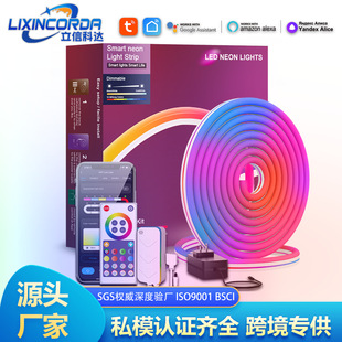 私模涂鸦WIFI智能硅胶LED霓虹灯带 现货蓝牙音乐遥控跑马灯带