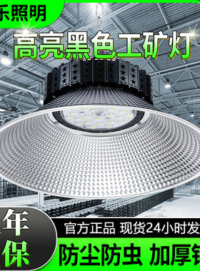 超亮LED工矿灯黑色工业车间厂房灯工厂照明灯体育馆球场灯