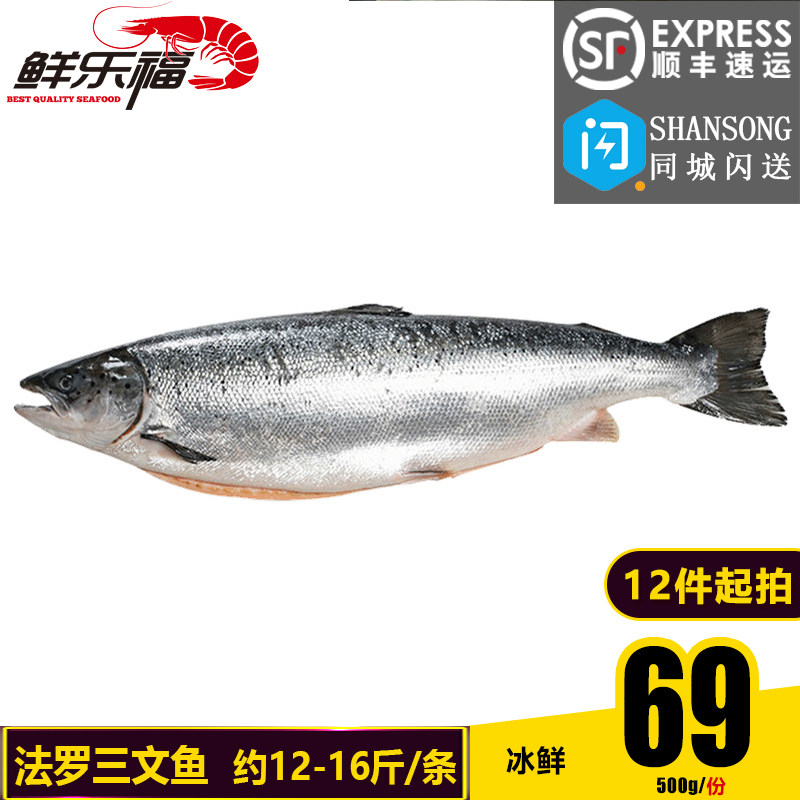 丹麦原装进口冰鲜法罗群岛三文鱼 整条 新鲜 一条约12到16斤