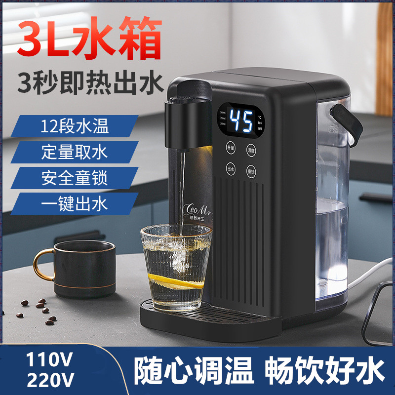 跨境3L即热饮水机速热