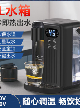 跨境3L即热饮水机速热台式直饮机小型净水器家用桌面热水机110V