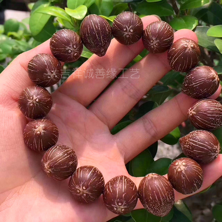 夏天盘玩不怕汗佛珠招财鼠紫金鼠三眼菩提子手串文玩手链植物种子