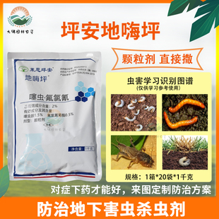 坪安地害平噻虫氟氯氰杀地下害虫地老虎蛴螬蝼蛄金针虫辛硫磷杀虫